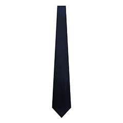 TIES - Navy Satin Clip Tie