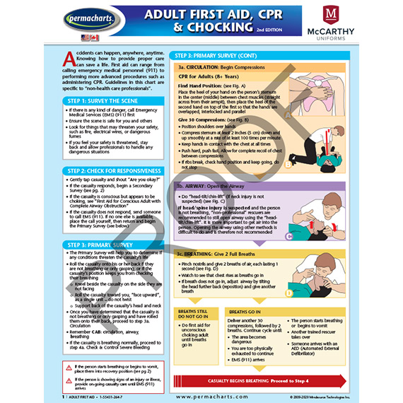 Full size image of First Aid Chart - First Aid, CPR and Chocking Quick Reference Guide (in color No Colour)