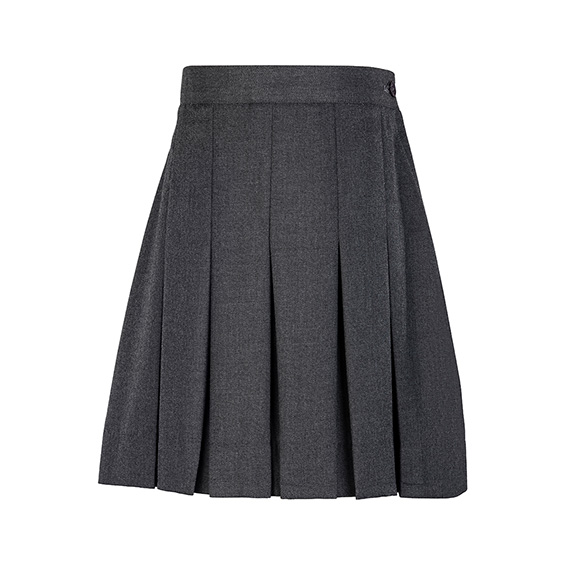 Full size image of Pleated Dress Skirt (in color Grey)